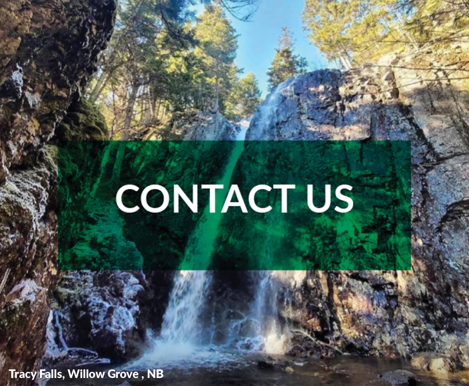 Contact us icon 